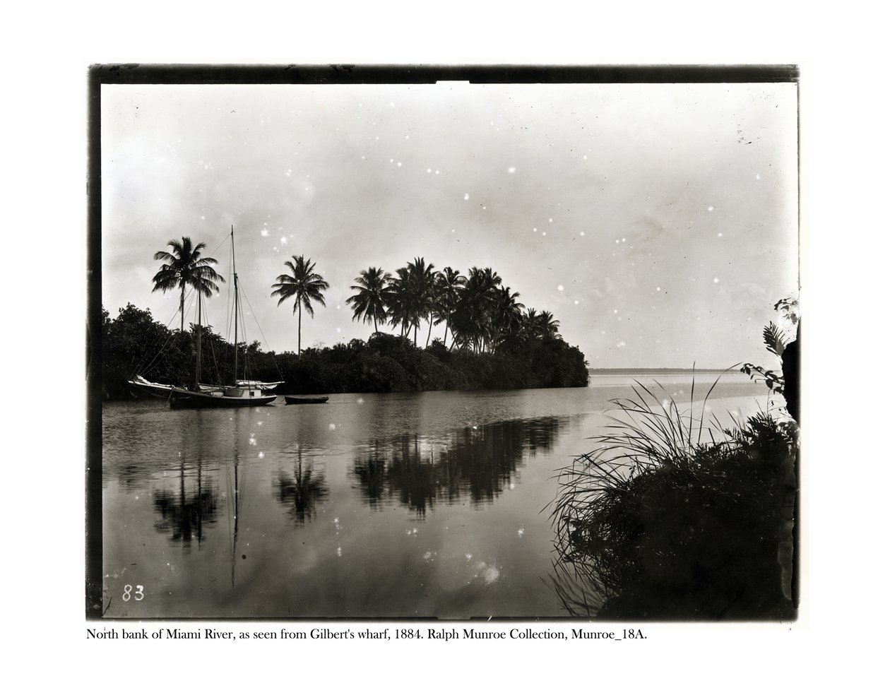 Nordbredden av Miami River, sett fra Ghilberts Wharf, 1884 av American Photographer