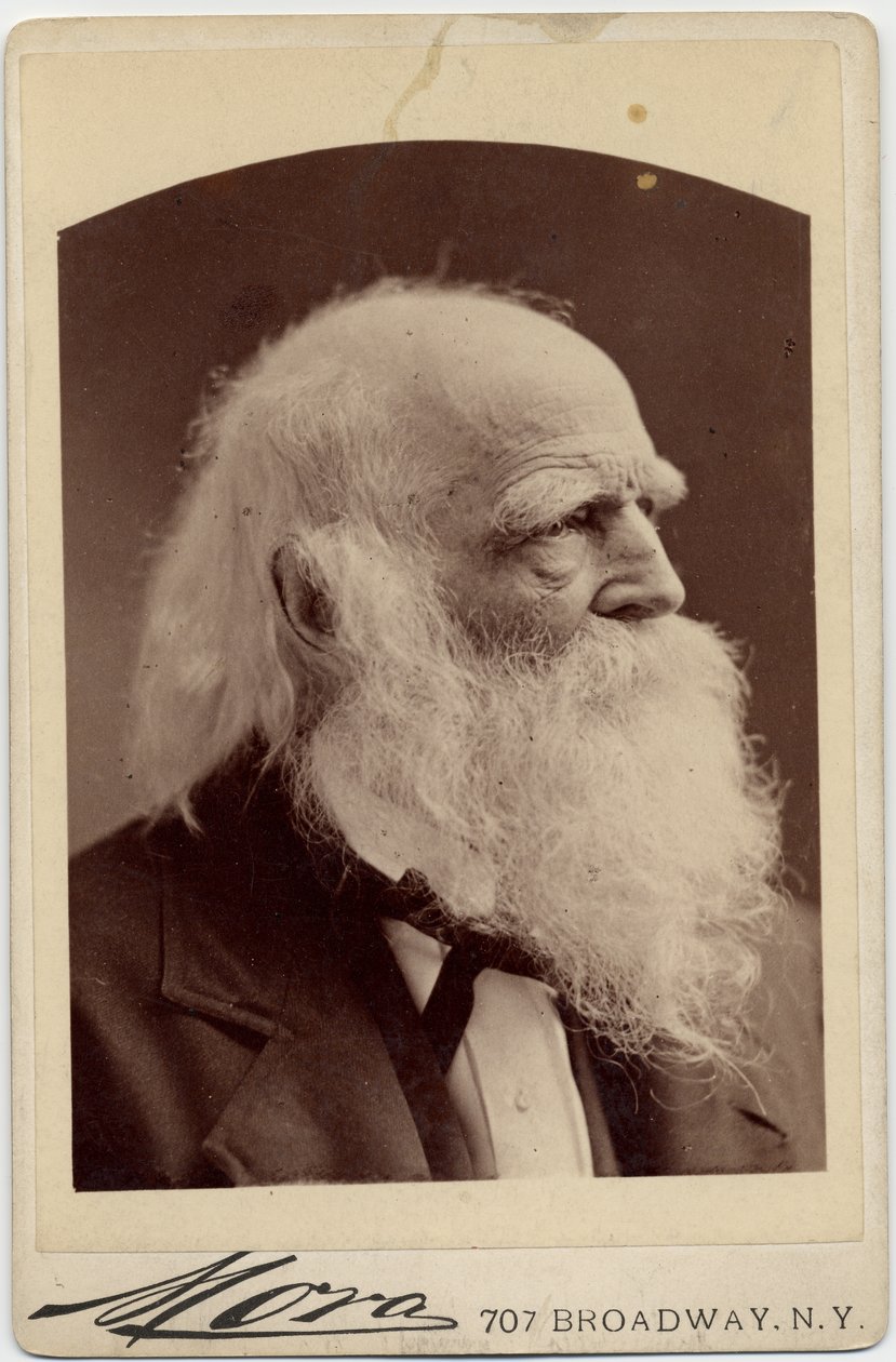 William Cullen Bryant (1794-1878), amerikansk poet, foto av Albert J Mora, New York (albumfoto) av American Photographer
