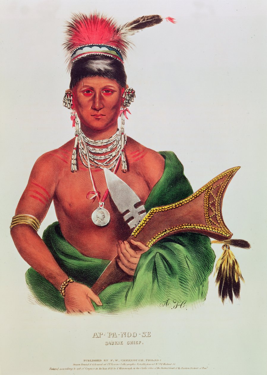 Ap-Pa-Noo-Se, Saukie-sjef av American School