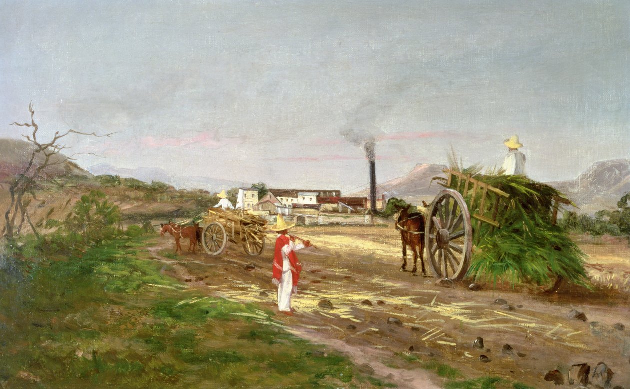 Bønder som samler sukkerrør, Mellom-Amerika, ca. 1840 av American School
