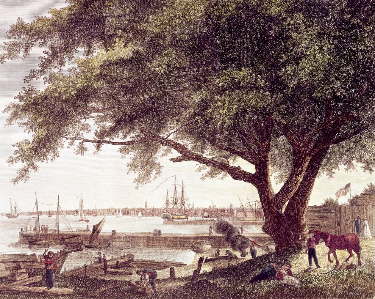 Byen og havnen i Philadelphia, ved elven Delaware, fra Kensington, 1800 av American School
