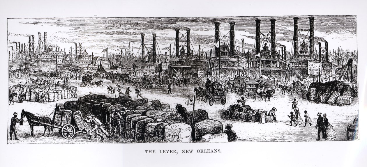The Levee, New Orleans av American School