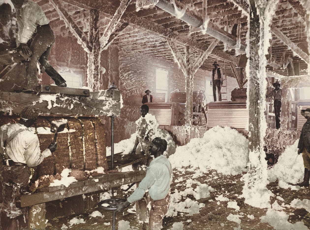 Mississippi Cotton Gin på Dahomey av American 19th Century, Detroit Photographic Company