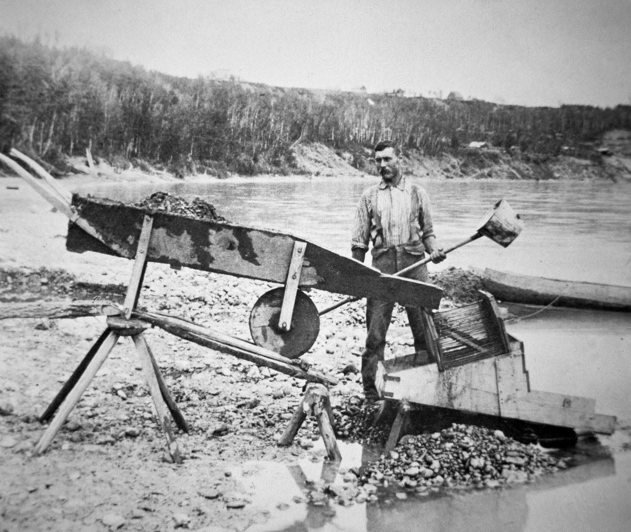 En prospektør laster en "rocker" eller "vugge" for å vaske gull fra Klondike-elvevannet under Klondike Gold Rush (1897-98) 1898 (s/hvitt-bilde) av American Photographer