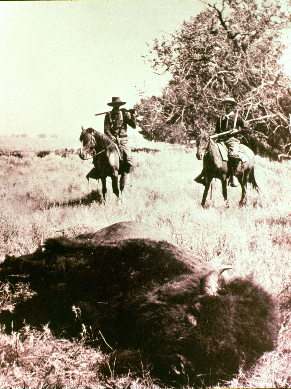 Amerikanske bisonjegere av American Photographer
