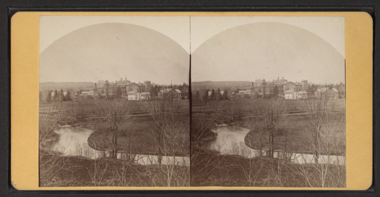 Fugleperspektiv av husbygninger, ca. 1870 (s/hvitt-bilde) av American Photographer