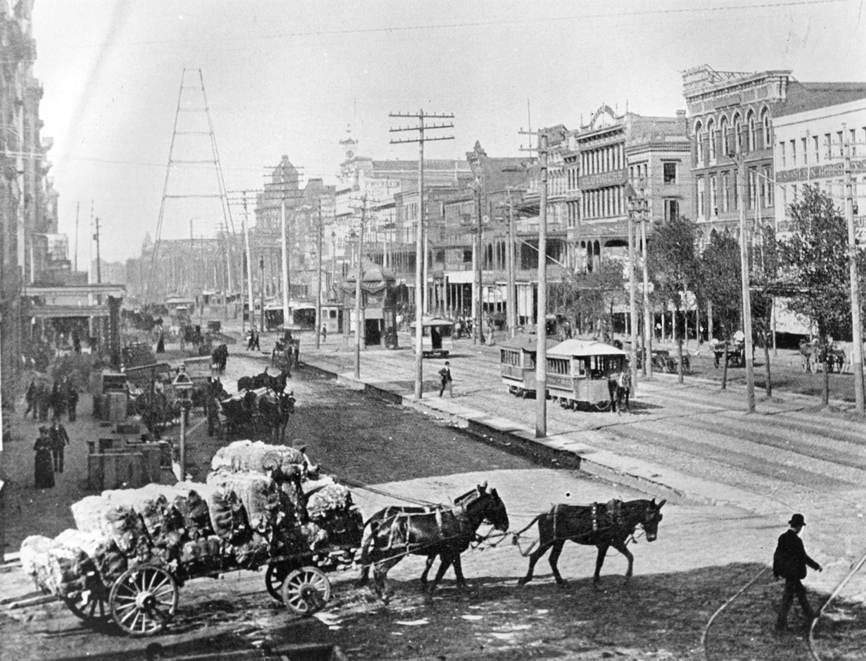 Canal Street, New Orleans, Louisiana, ca. 1890 (s/hvitt-bilde) av American Photographer