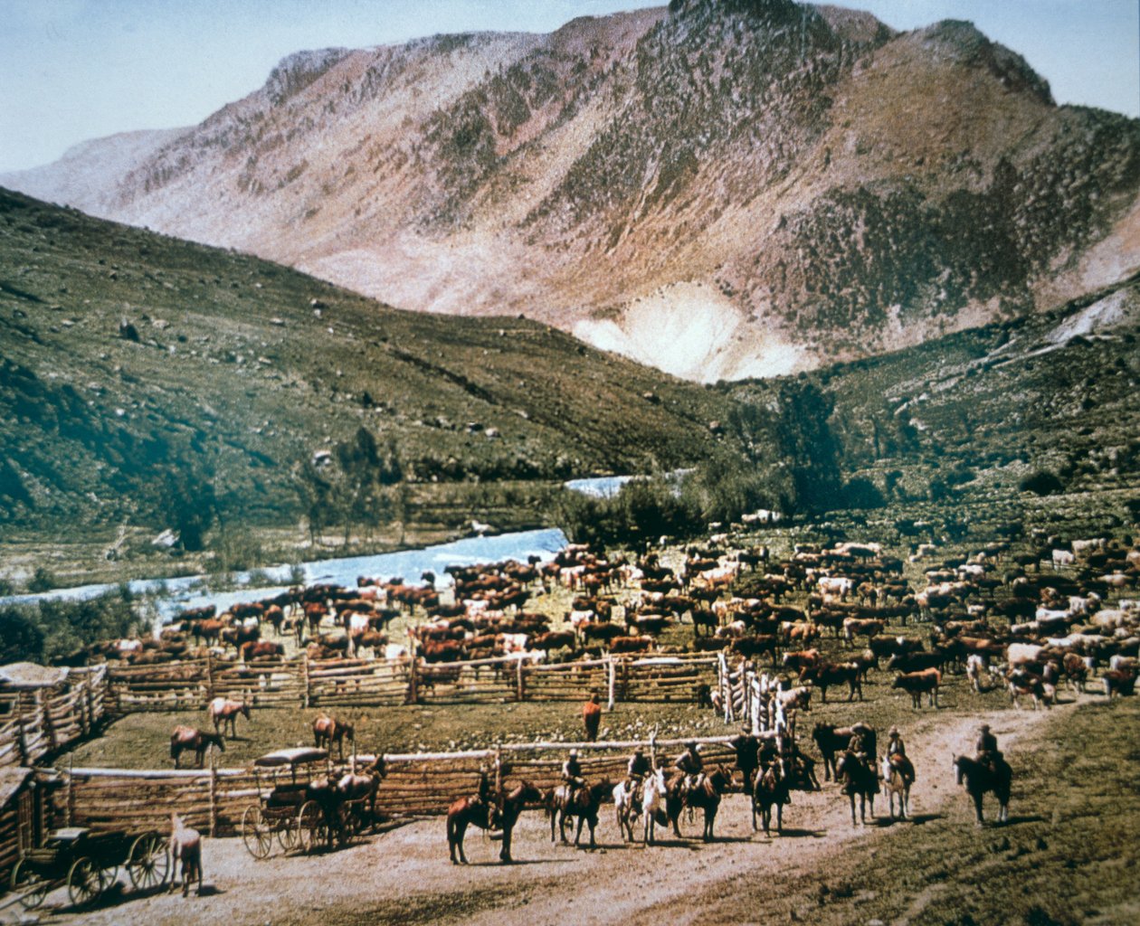 Cattle Ranch, Colorado av American Photographer