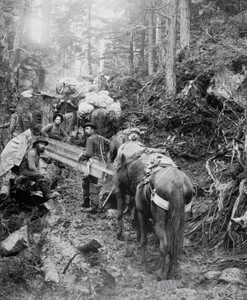 Klatring av Dyea Trail på vei til Chilkoot Pass under Klondike Gold Rush (1897-98) (s/hvitt bilde) av American Photographer