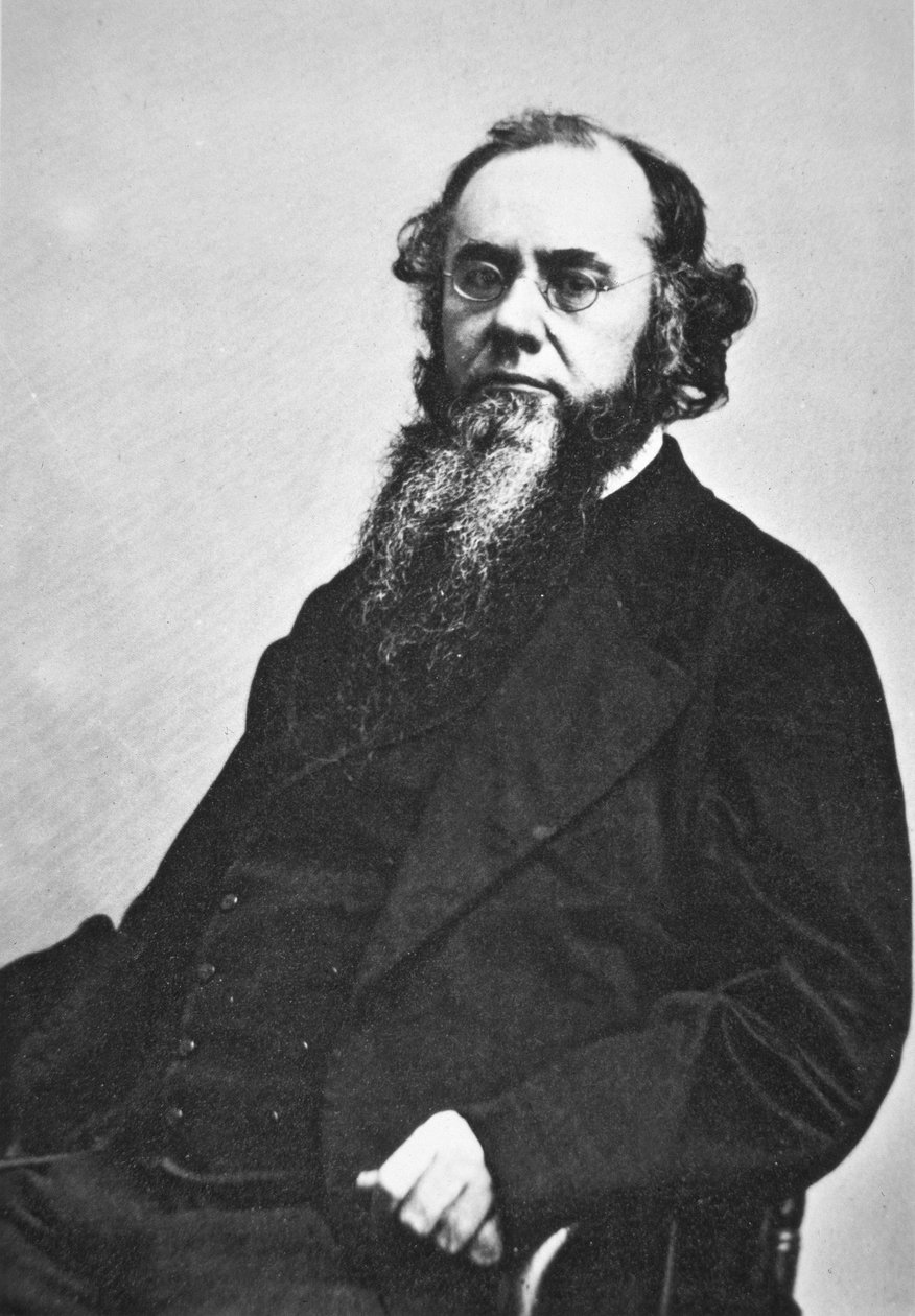 Edwin M. Stanton (1814-69) (s/hvitt-bilde) av American Photographer