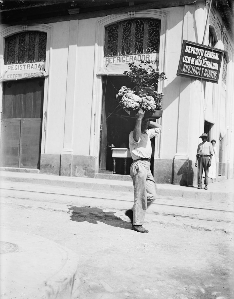 Blomsterforhandler, Havana, ca. 1910 (s/hvitt-bilde) av American Photographer