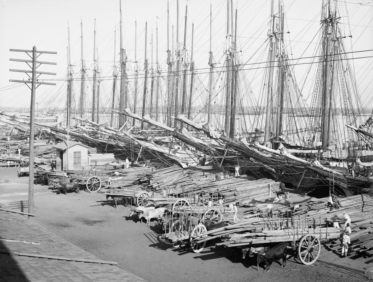 Muelle Tallapiedras, Havanna, ca. 1904 (s/hvitt-bilde) av American Photographer