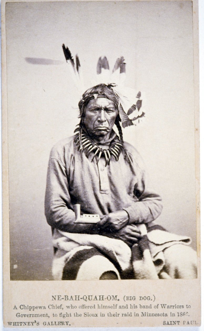 NE-BAH-QUAH-OM, Big Dog, Chippewa-sjef, tilbød seg å kjempe mot Sioux i Minnesota av American Photographer