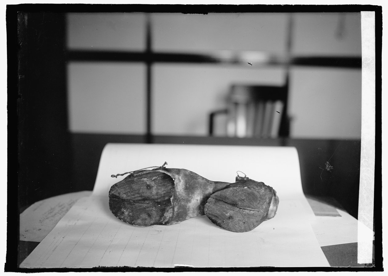 Prohibition Unit (Cow Shoes), 28. juni 1924 (s/hvitt-bilde) av American Photographer