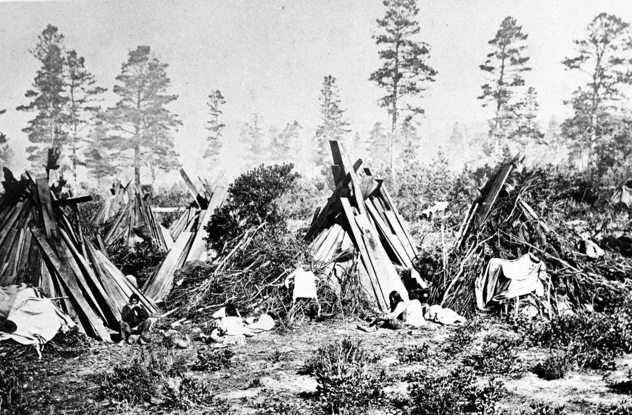 Yosemite Indian Huts, ca. 1870-tallet av American Photographer
