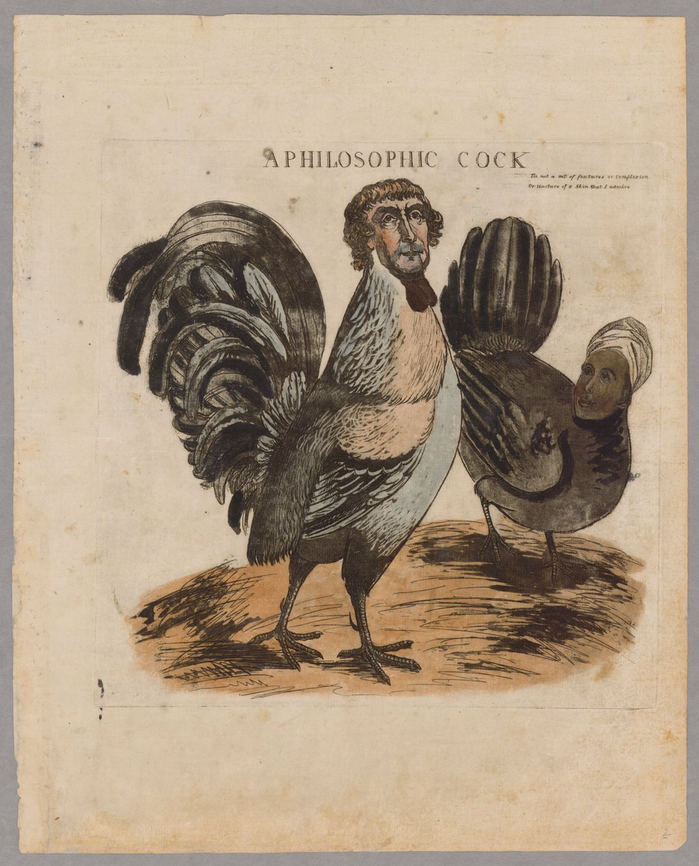 En filosofisk hane, 1804 av American School