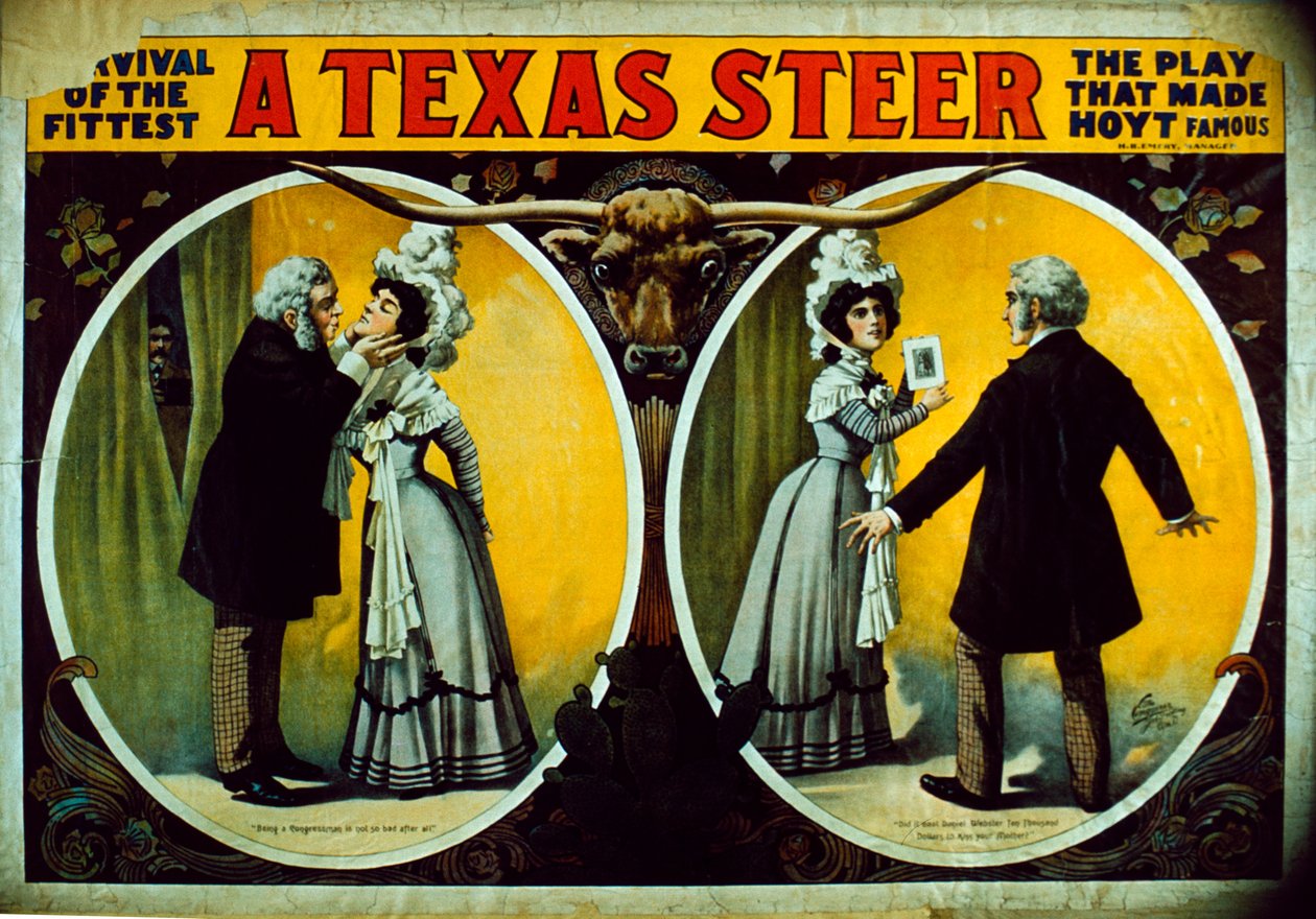 En Texas Steer av American School