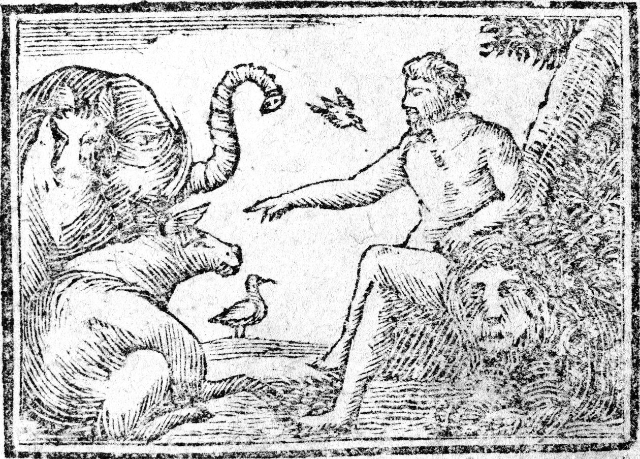 Adam som navngir dyrene, illustrasjon fra An Abridgement of the History of the Holy Bible, publisert 1794 av American School