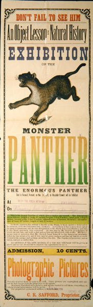 Annonse for utstillingen av Monster Panther av American School