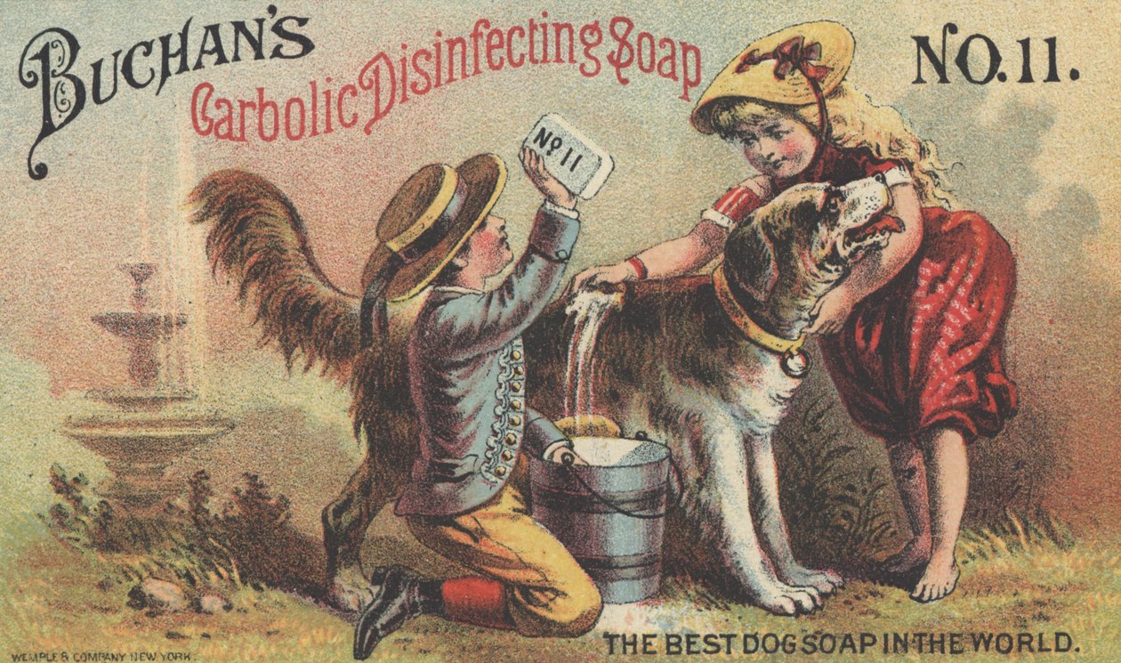 Annonse for Buchans Carbolic Disinfecting Soap nr. 11, ca. 1880 av American School