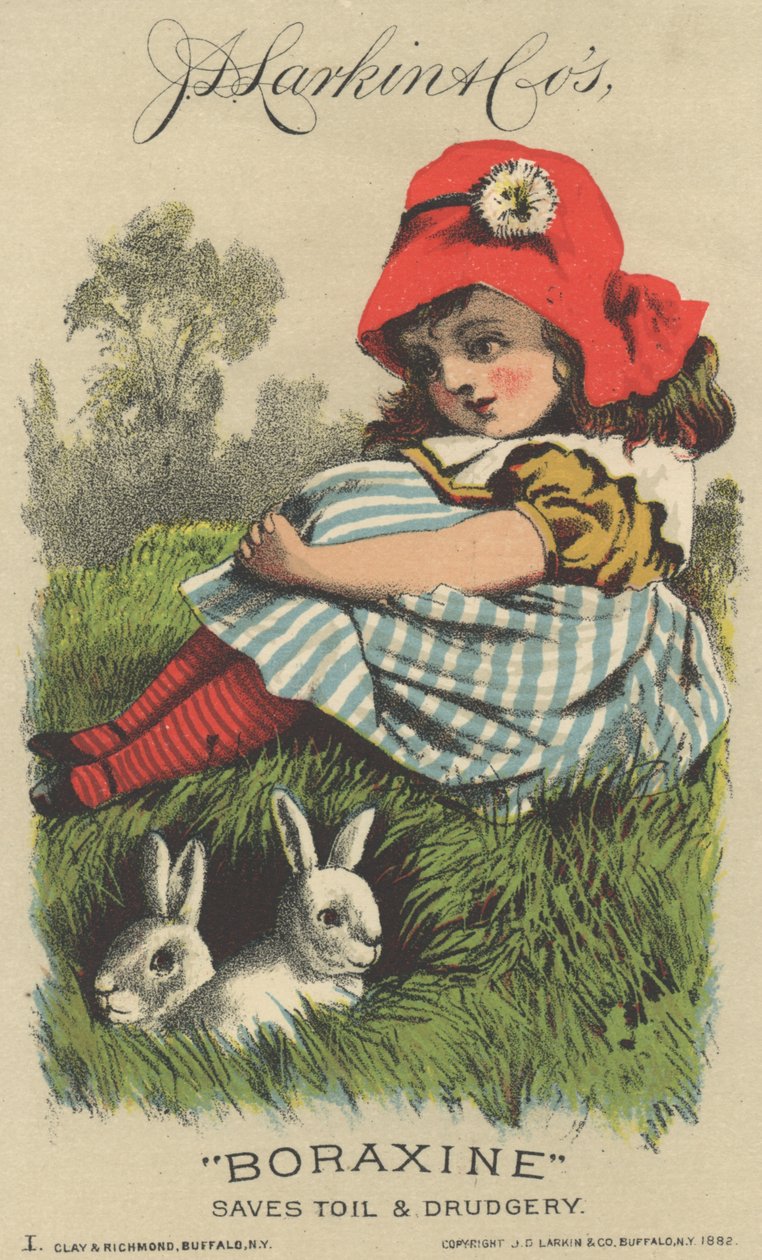 Annonse for J. D. Larkin & Cos Boraxine, 1882 av American School