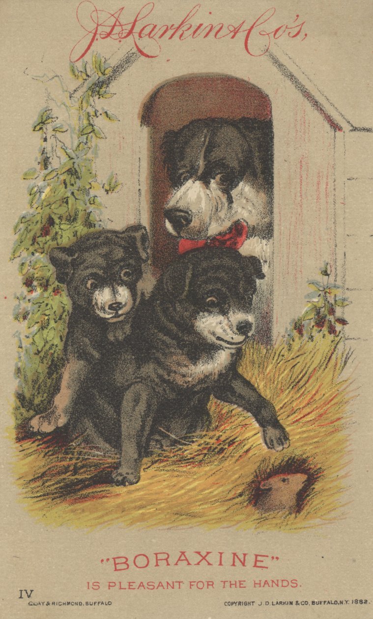 Annonse for J. D. Larkin & Cos Boraxine, 1882 av American School