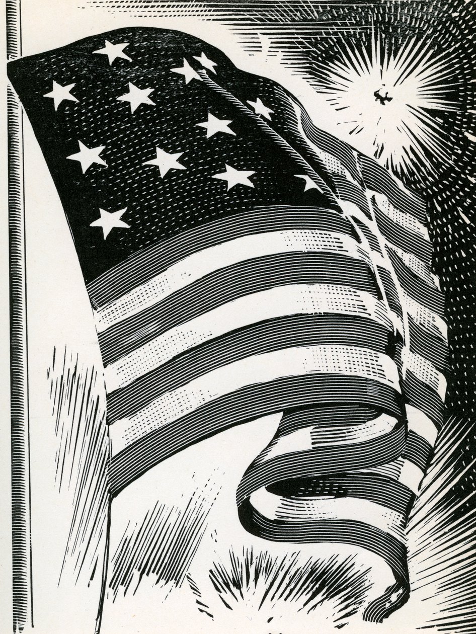 Amerikansk flagg vaier over Fort McHenry av American School