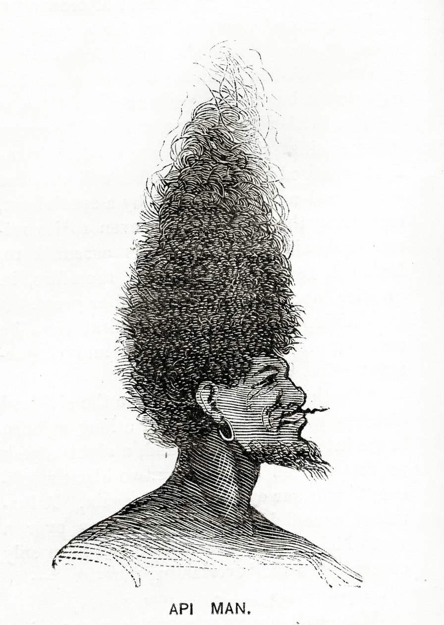 Api Man, illustrasjon fra Appletons Journal, 4. mai 1872 av American School