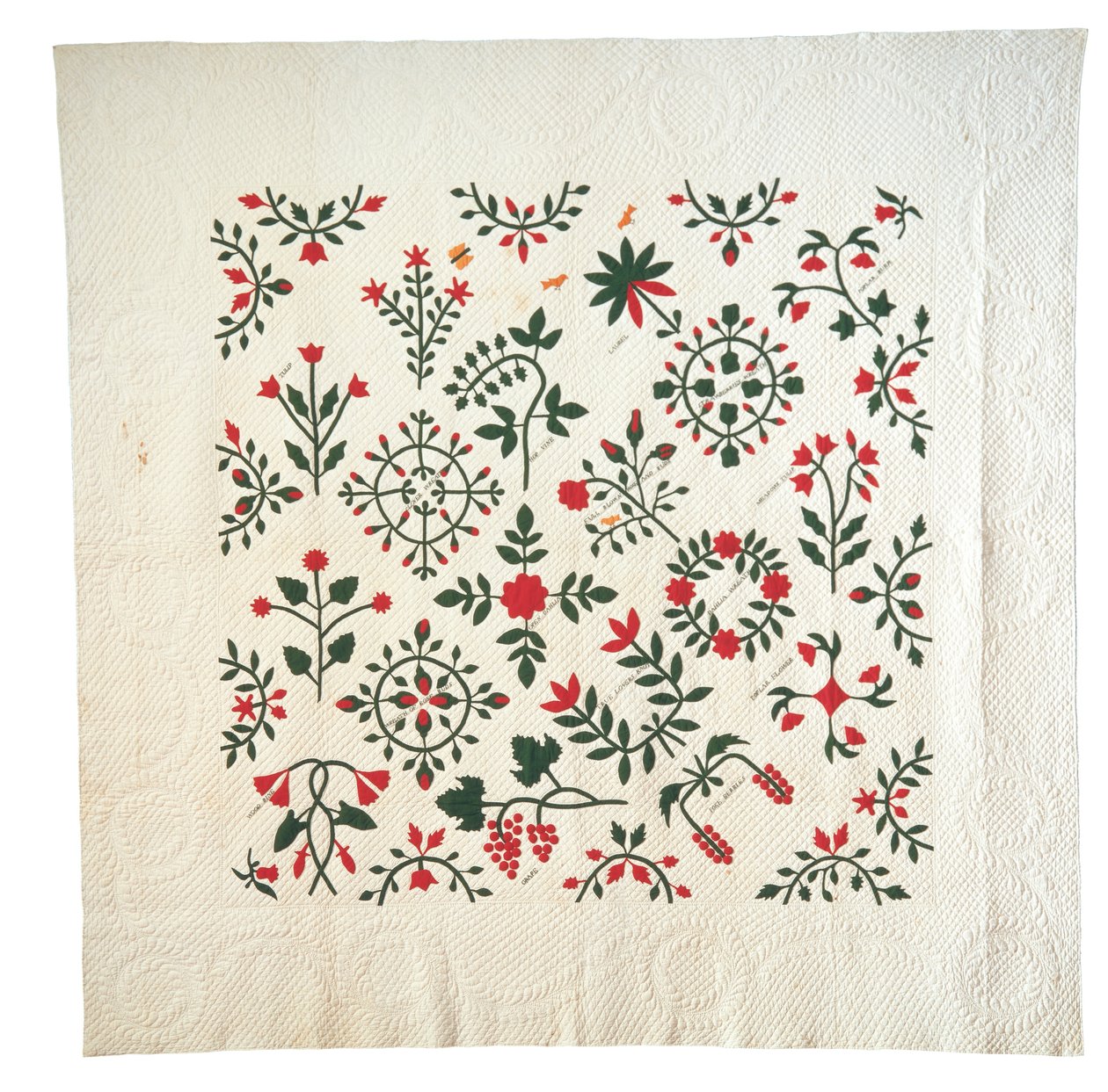 Applikasjon og brodert hage botanisk albumteppe av American School