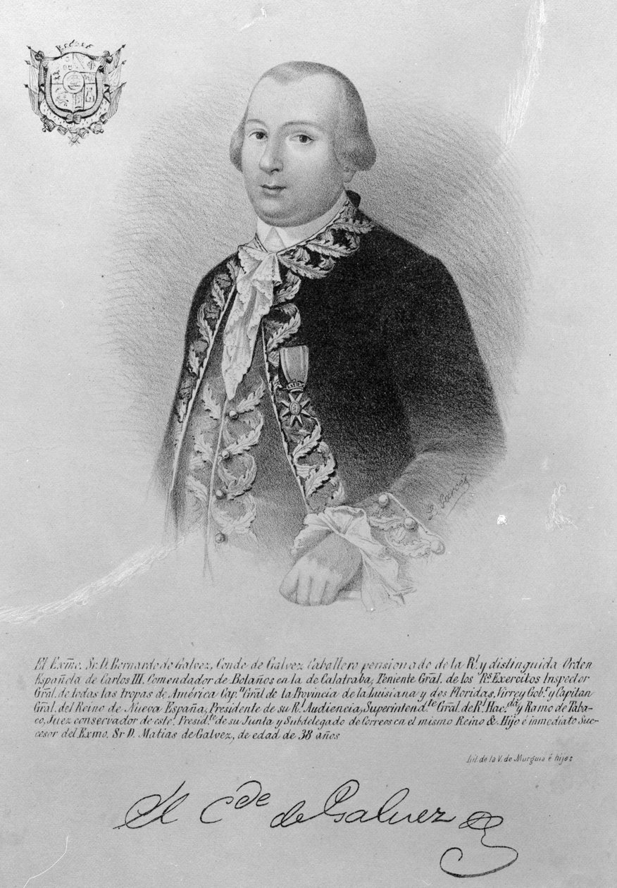 Bernardo de Galvez av American School