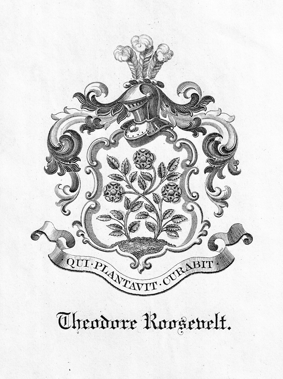 Bokskilt av president Theodore Roosevelt (1858-1919) (trykk) av American School