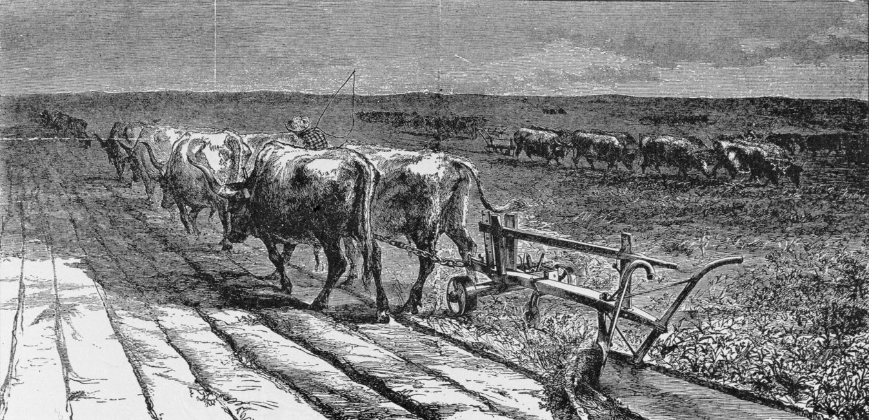 Breaking the Prairie, illustrasjon fra 
