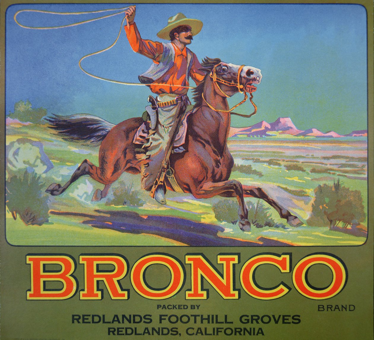 'Bronco appelsiner', ca. 1900 (farge litho) av American School