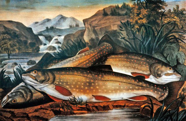 Brook Trout- Just Caught, utgitt av Currier & Ives, ca. 1870 (farge litho) av American School