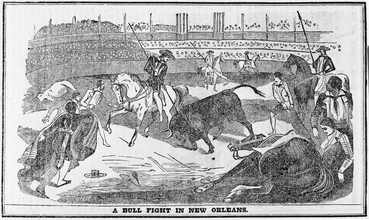 Oksekamp i New Orleans, fra Davy Crocketts Almanack, Boston, 1849 av American School