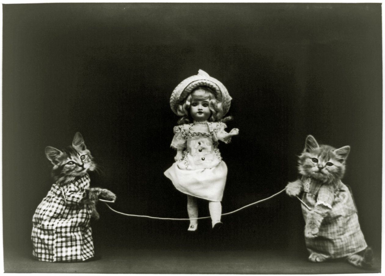 Cat curiousity, 1891 av American School