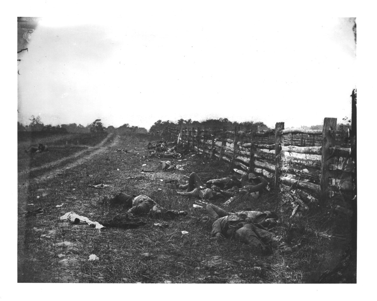 Konfødererte døde langs vestsiden av Hagerstown Pike, slaget ved Antietam, 19. september 1862 av American School