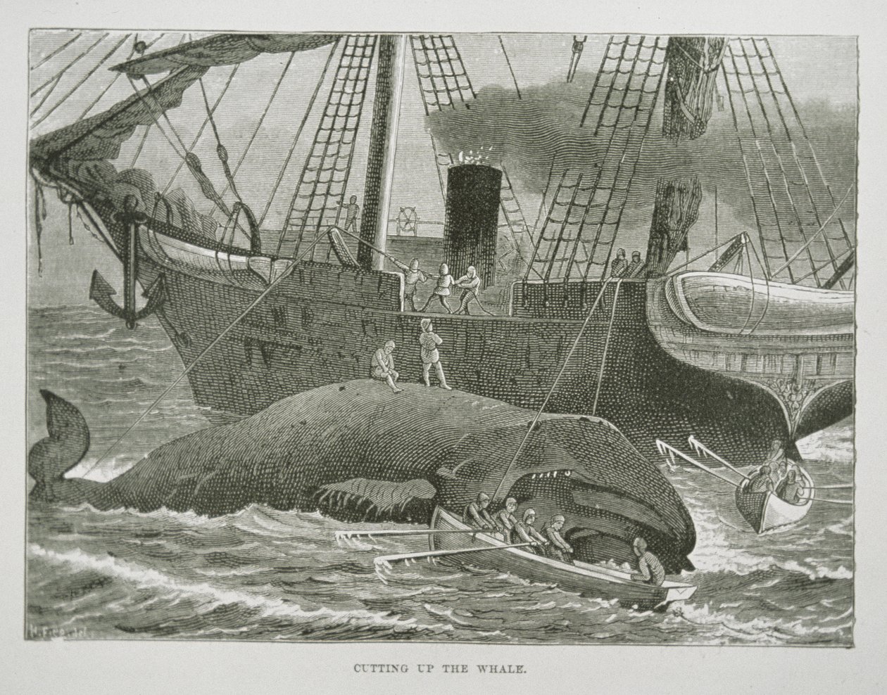 Cutting up the Whale, fra The American Whale Fishery, ca. 1850 (gravering) av American School