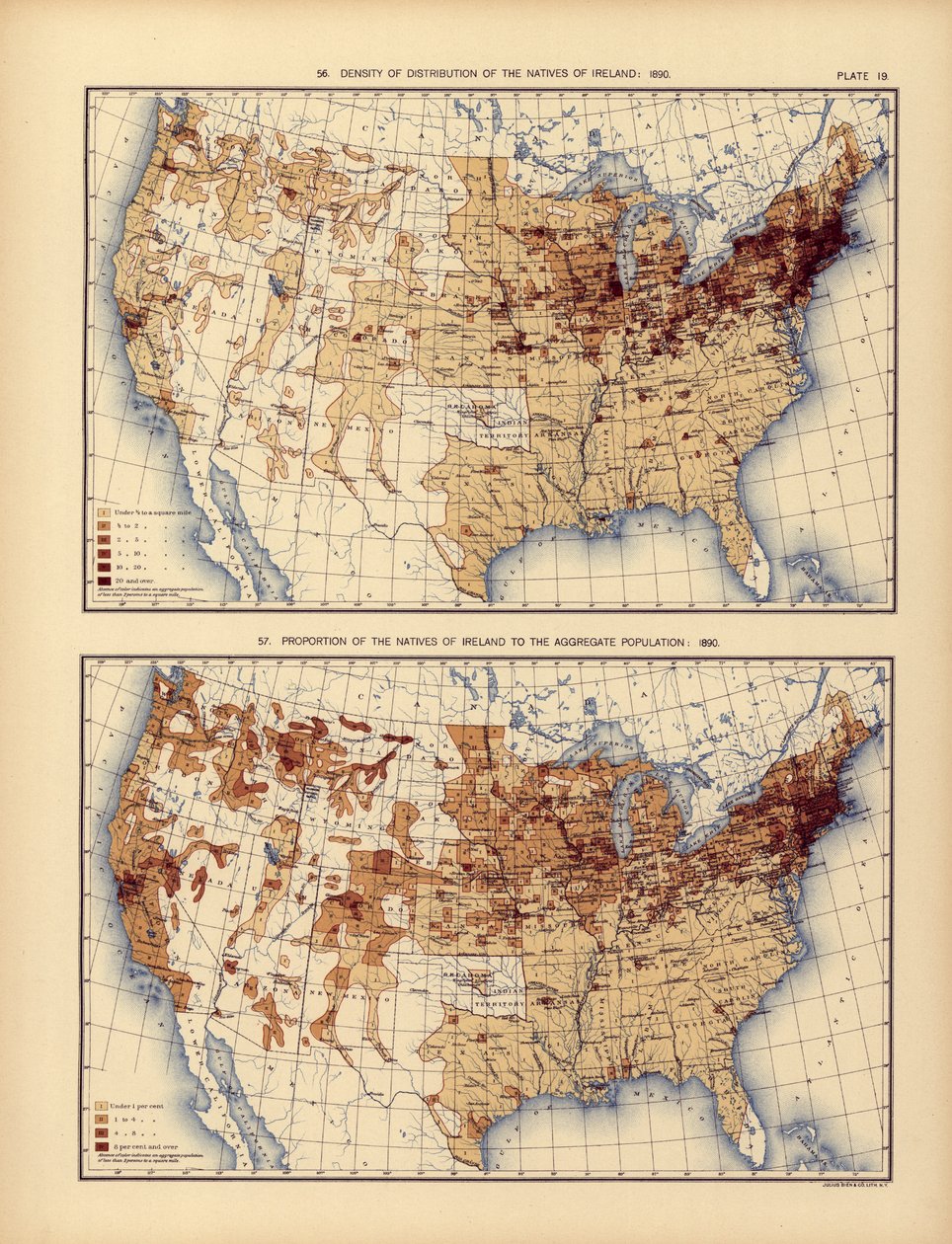 Tetthet av distribusjon av de innfødte i Irland og deres andel av den samlede befolkningen, 1898 av American School