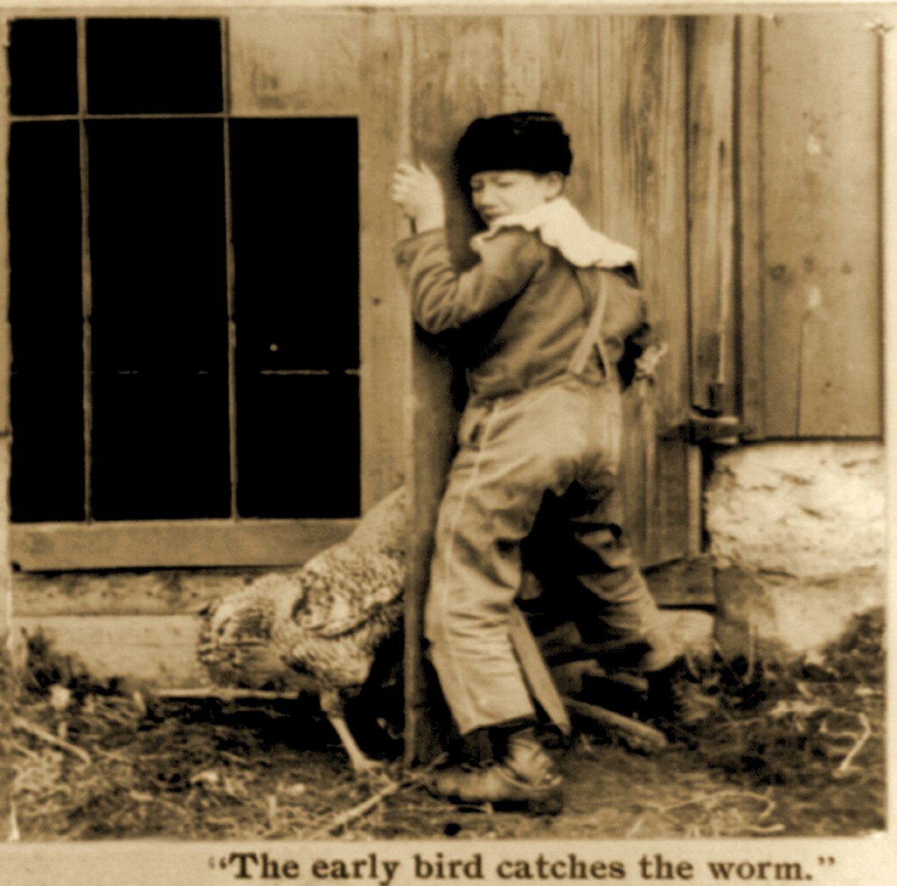 Detalj av stereoskopisk kort "The early bird catches the worm" ca. 1900 (s/hvitt-bilde) av American School