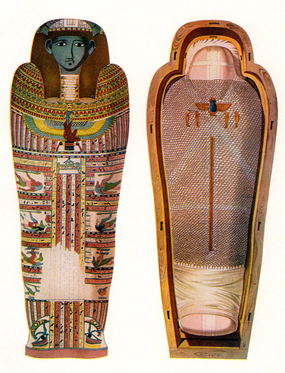 Egyptisk mumie og sarkofag av American School
