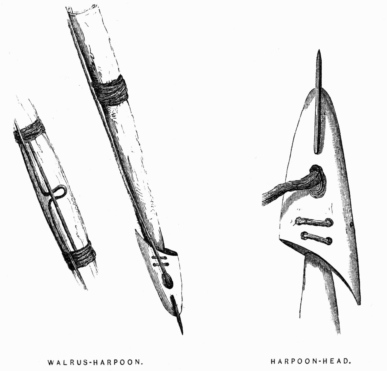 Eskimo Hunting Tools: Harpuner - Elisha Kent Kane, Arctic Explorations in the Years 1853-1855, vol. 1, s. 412, Philadelphia av American School
