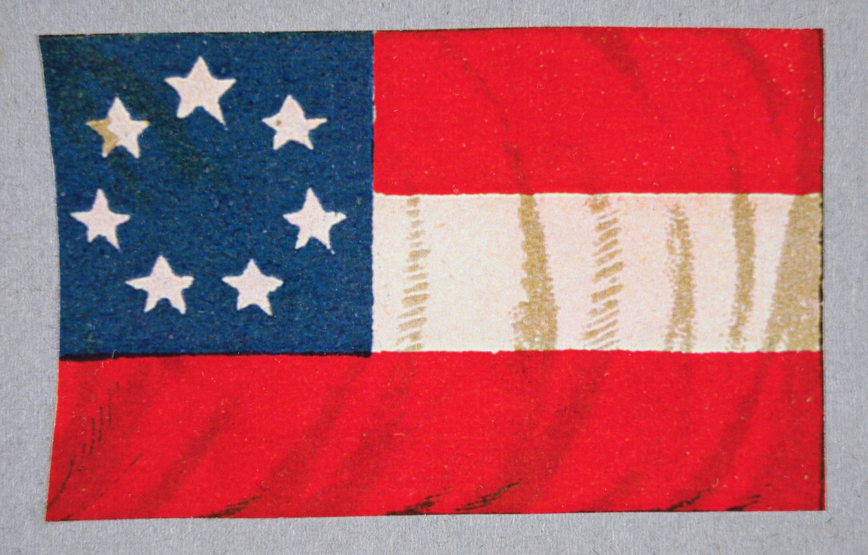 Flagget til de konfødererte statene i Amerika (farge litho) av American School