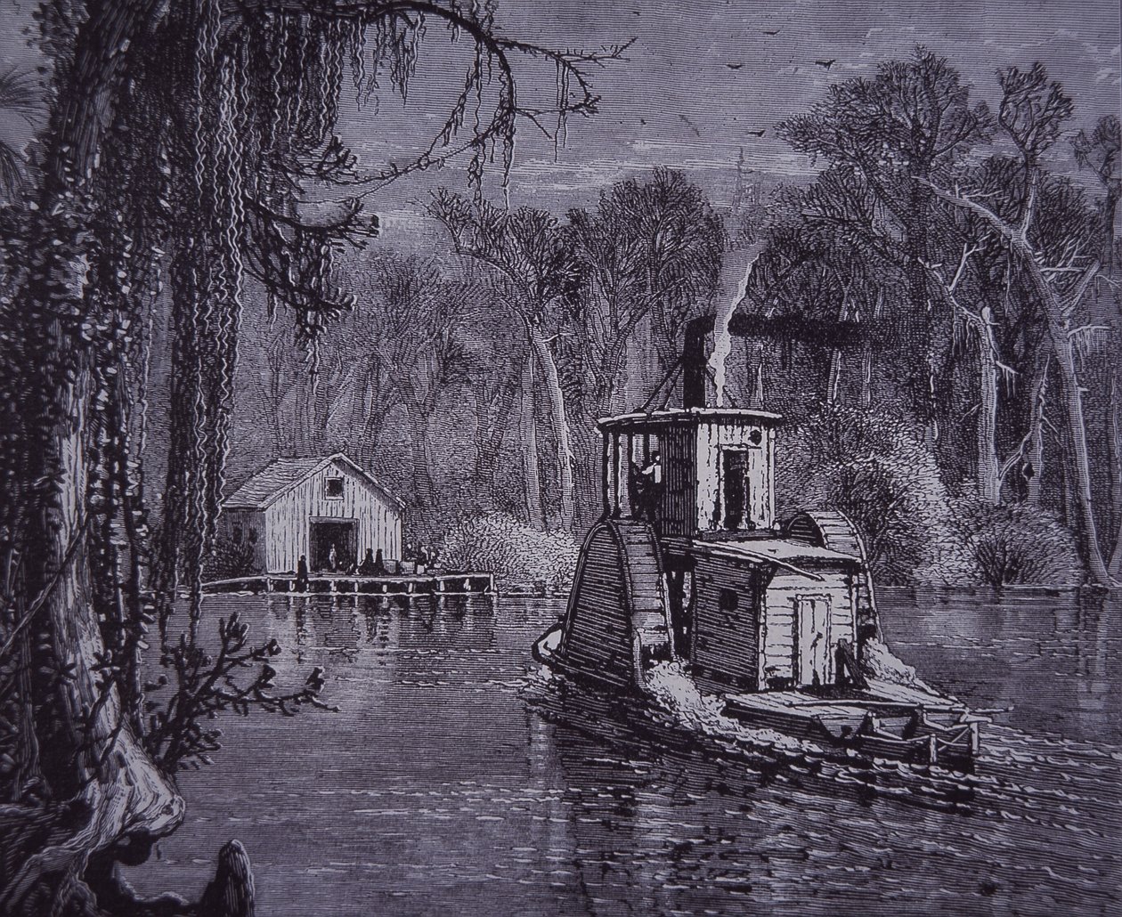 Florida Everglades scene av American School