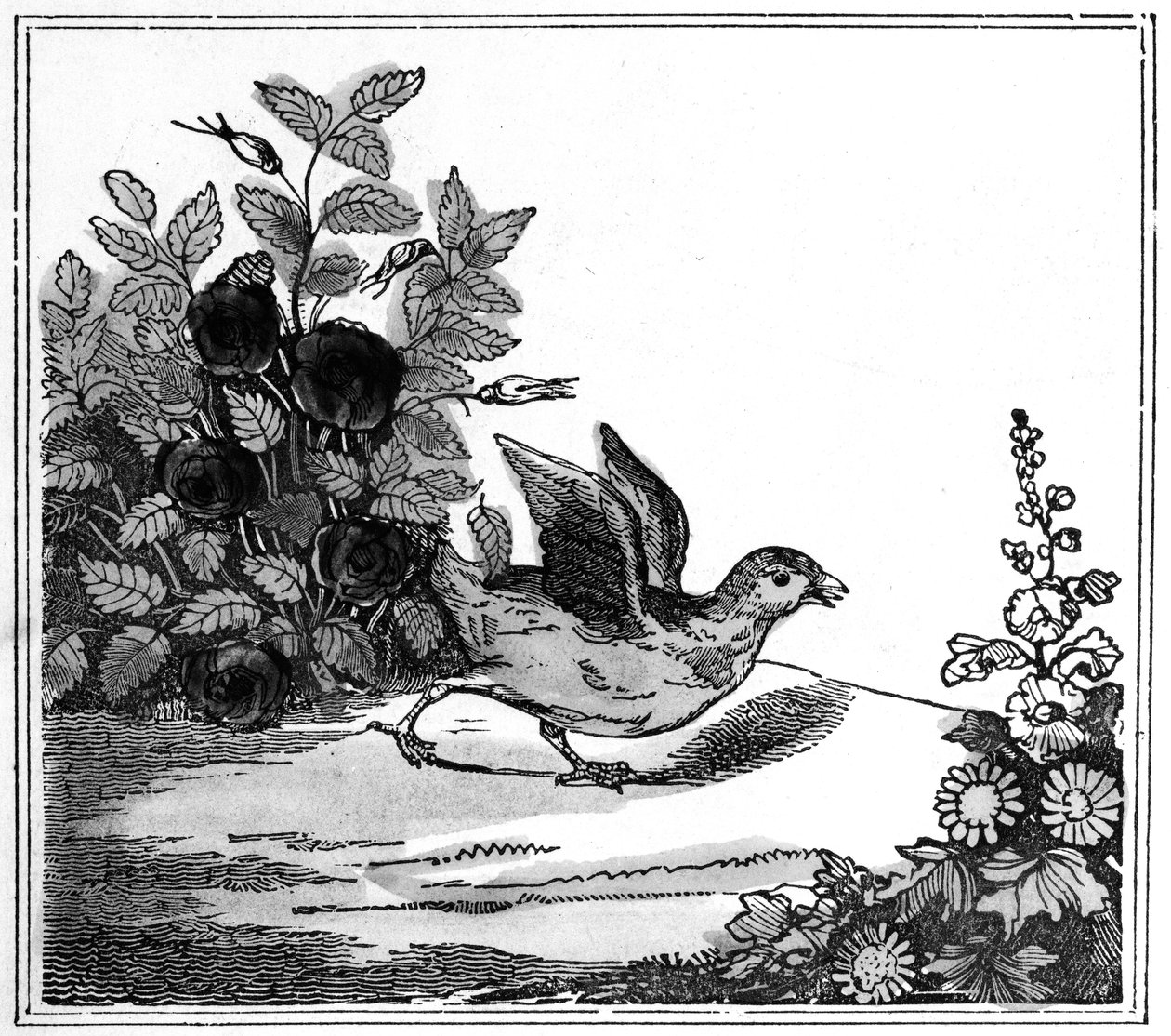 Illustrasjon fra den bemerkelsesverdige historien om Chicken Little, 1840 av American School