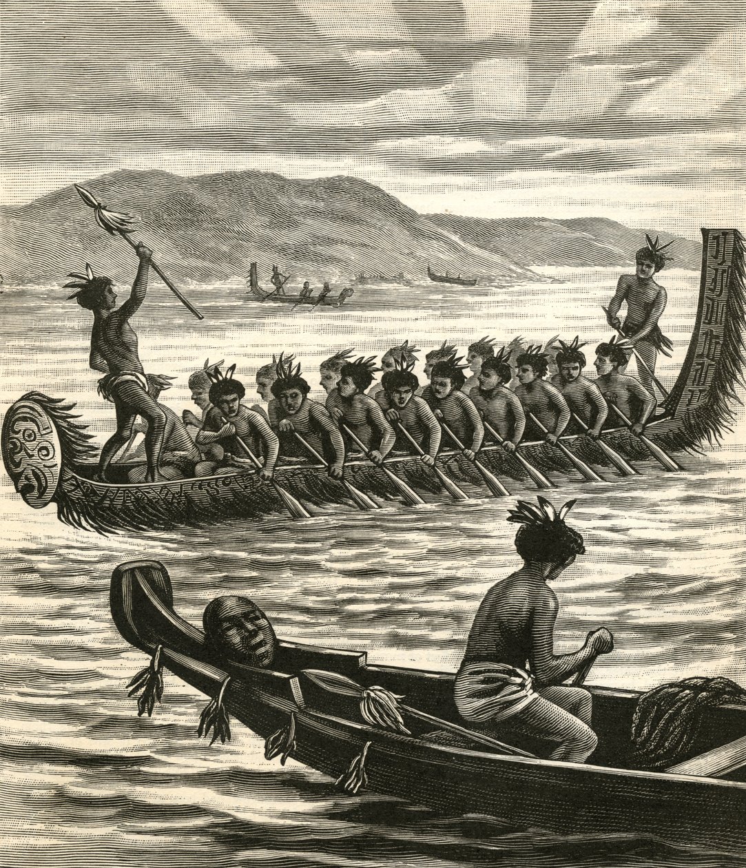 Illustrasjon av maorikrigere i kanoer av American School