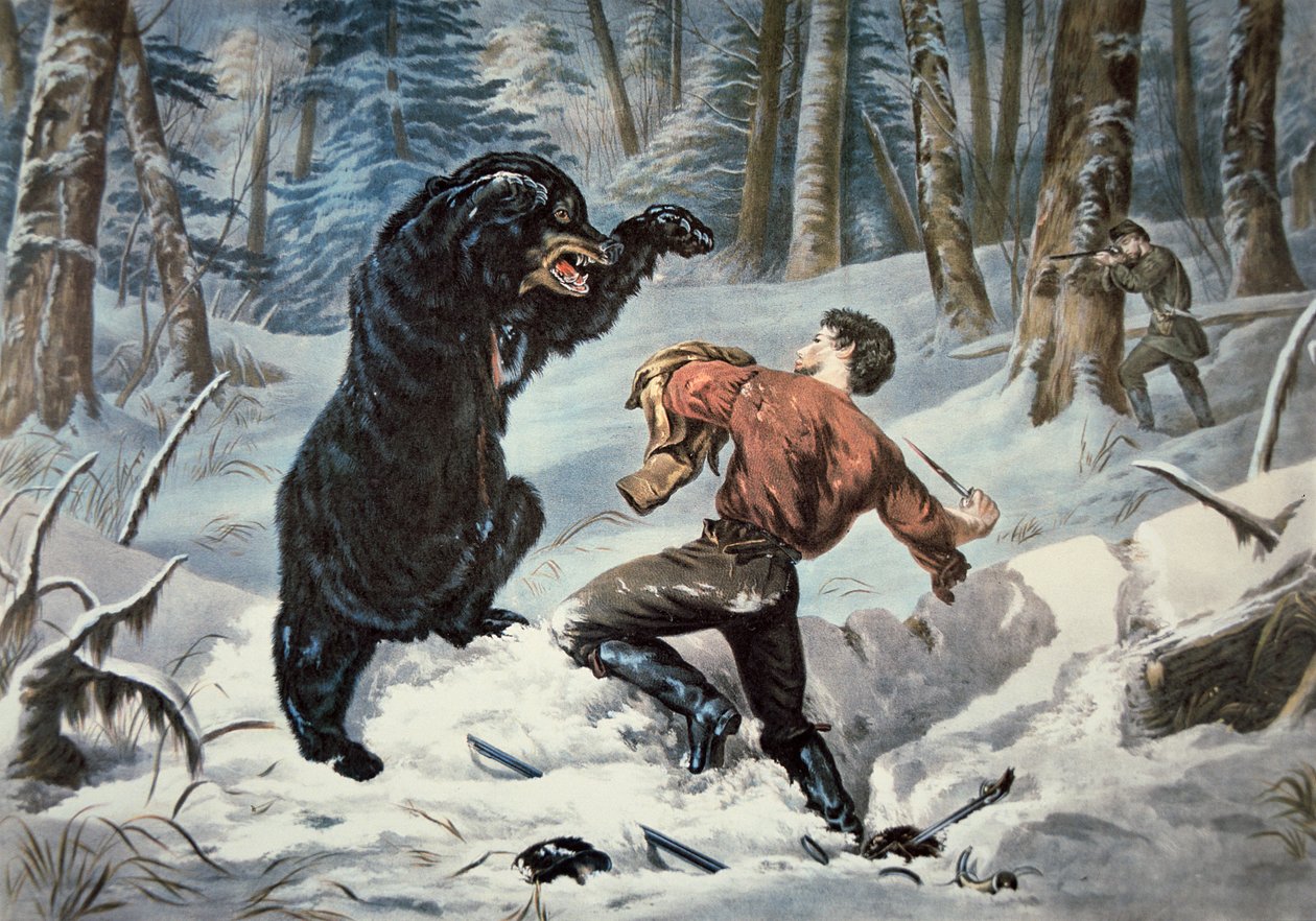 Jedediah Smith (1799-1831) ble angrepet av en Grizzlybjørn, ca. 1861 (litho-farge) av American School