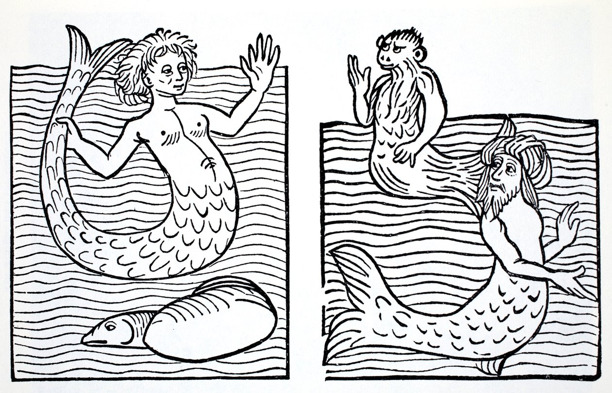 Mermaids and Mermen, fra The World Guide to Gnomes, Fairies, Alves and Other Little People av Thomas Keightley (1789-1872) Publisert 1880, (BW Engraving) av American School