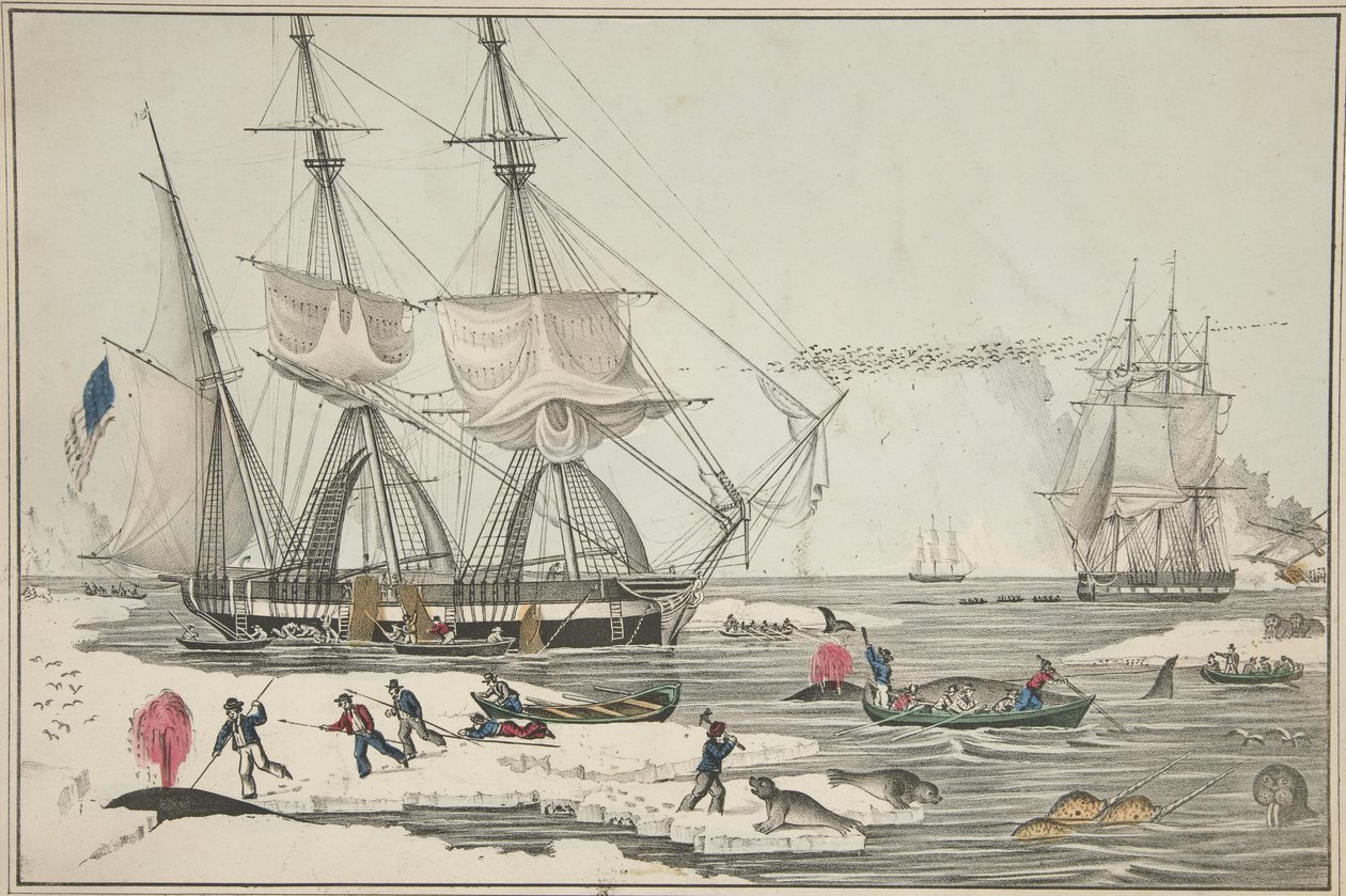 North Sea Whale Fishery, pub. 1860 (farge litho) av American School
