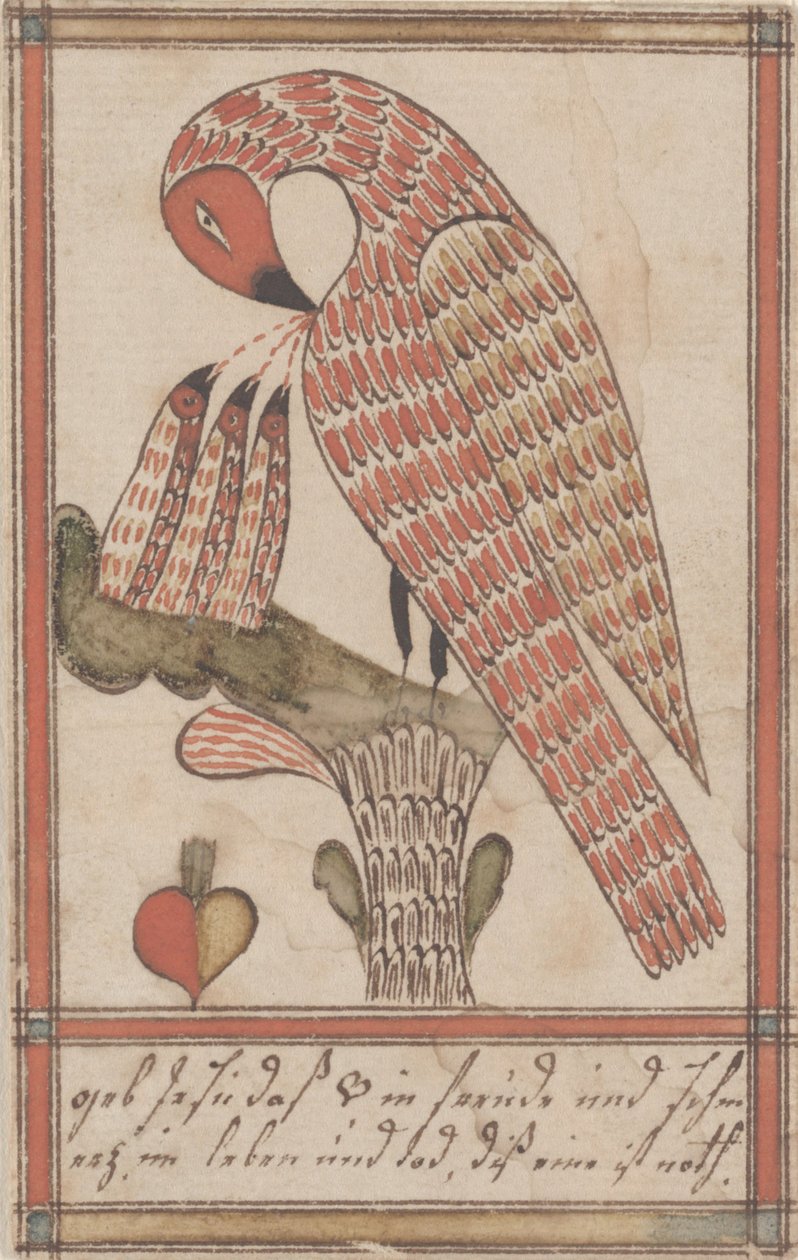Pelican in its Piety, ca. 1800 (blekk og wc på papir) av American School